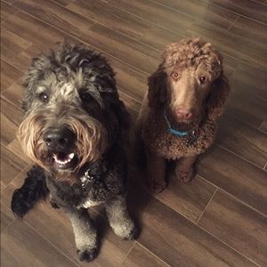 Meet your Posher, Gena